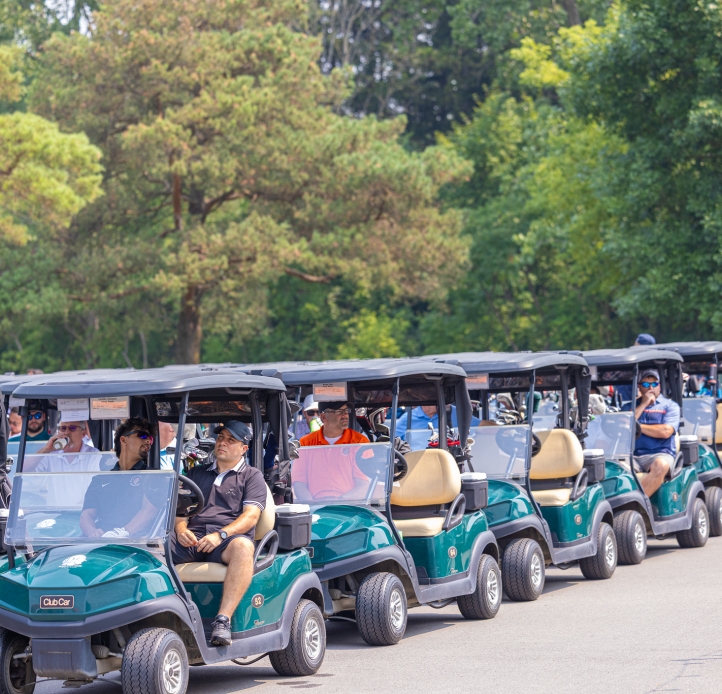 Line of golfs carts