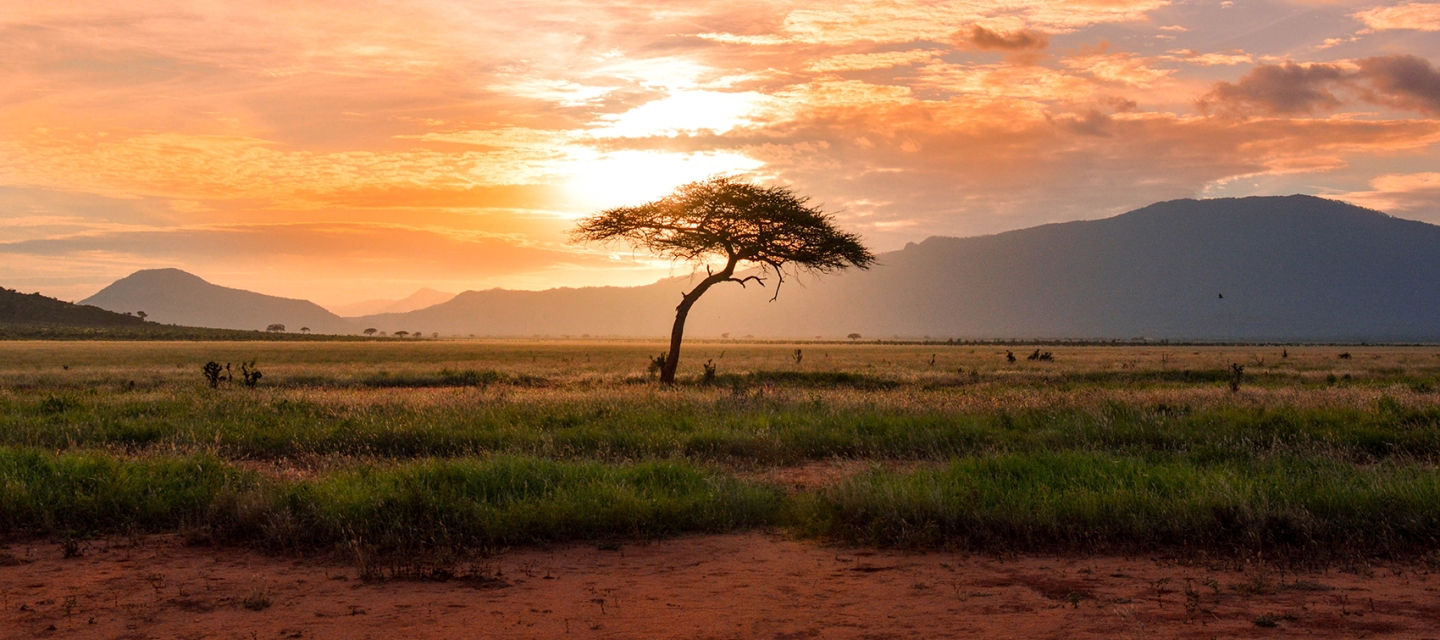 Tsavo East National Park Kenya, Africa, Kenya